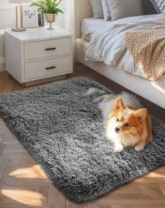 lot 56534 image: Small Rug Upgrade Non Slip Throw Bedside Area Rugs, Fluffy Soft Grey Mini Bedroom Carpet, Affordable Door Entryway Indoor Inside Front Entrance Dog 2x3 Mat, Home Decor Aesthetic, Nursery - Retail $9