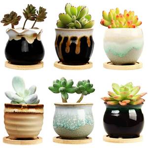 lot 151 image: Brajttt 2.1 Inch Succulent Pot with Drainage,PlantingFlower Pots,Small Planter for Mini Plant Ceramic Flowing Glaze Base Serial Set with Holes - Retail $16