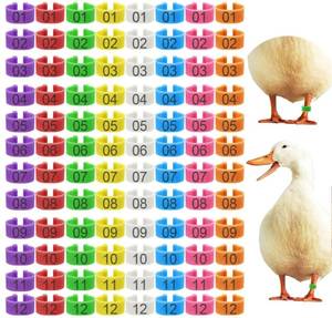 lot 211 image: 96 Pcs 20mm Duck Identification Leg Bands with 8 Color, Chicken Duck Ankle Tags Poultry Leg Foot Rings for Ducks Chicken Guinea Goose Gamefowl Turkey - Retail $10