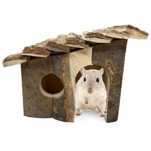 lot 62695 image: Hamster Wooden House, Small Pet Hideout Climbing Play Hut Natural Wood with Bark Hideaway House for Dwarf Hamster, Mouse, Rat, Gerbil and Other Small Animals - Retail $15