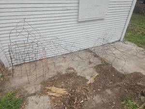 lot 7009 image: Wire Tomato Cages Plant Support Collection