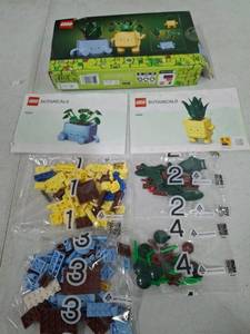 lot 1048 image: LEGO Botanicals Multicolored
