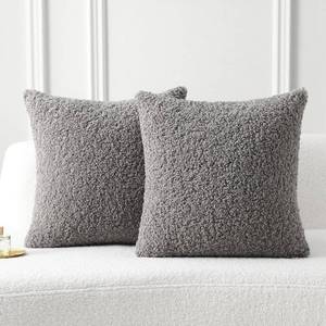 lot 1794 image: FUTEI Dark Grey Throw Pillow Covers 18x18 Inch Set of 2,Furry Faux Fur Teddy Boucle Textured Cushion Covers,Soft Fluffy Decorative Pillow Case,Home Decor for Couch Bed Living Room Office Car
