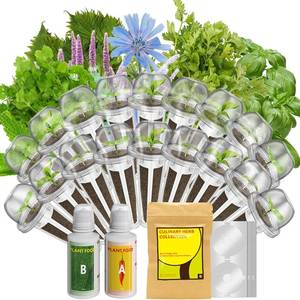 lot 1858 image: inbloom 18-Pod Herb Seed Pod Kit   Compatible with AeroGarden, Ahopegarden, Gardencube Hydroponic Garden with 350 Seeds Basil, Mint, Cilantro, Parsley, Shiso, Chicory, Liquorice   Mothers Day Gift