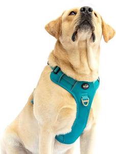 lot 2028 image: BEYFIRG_ No Pull Harness for Small Dogs,Lightweight & Adjustable Reflective Pet Vest Harness Easy Control Handle for Walking (Teal, Small)