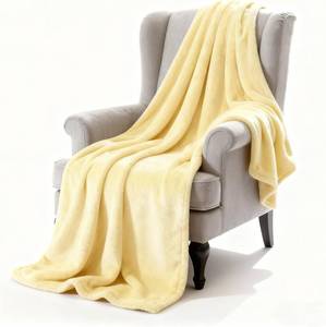 lot 2061 image: SNZ Luxury Flannel Throw Blanket for Couch 51x71 Inches - Ultra Soft Fleece Blankets & Throws for Bed, Camping, Office - All Season Cozy Plush Blanket for Adults, Men, Kids, Color Gray