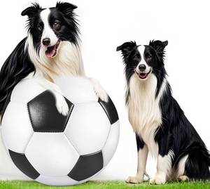 lot 2221 image: BABORUI Herding Ball for Dogs - PU 50CM Interactive Dog Balls Toys for Australian Collie Border Collies, Dog Balls for Large Dogs to Keep Them Busy