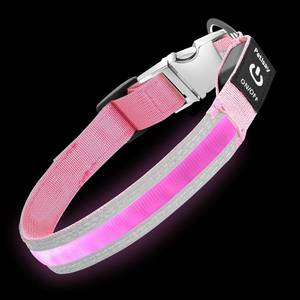 lot 11689 image: PetIsay LED Dog Collar Metal Buckle - Heavy Duty Light up Collars - Rechargeable IP68 Waterproof - Lighted Dog Collar for Night Walking, Hiking, Camping (Small, Pink)
