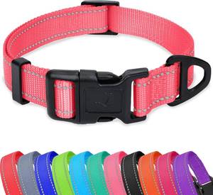 lot 64065 image: Taglory Reflective Adjustable Dog Collars for Puppy Small Medium Large Dogs, Thin Nylon Webbing and Quick Release Plastic Buckle(Noen Pink, XSmall)