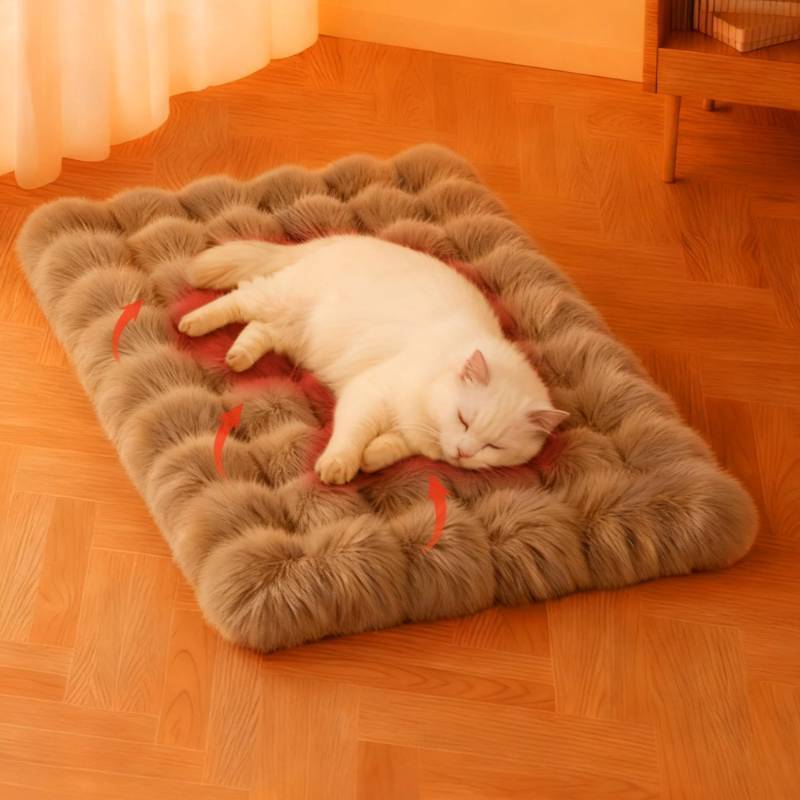 lot 25878 image: Self Warming Cat Bed, Self Heating Cat Mat & Warming Pad with Plush Fleece 25x20, Washable Cover, Non-Slip  Indoor Heated Cats Pad for Kittens, Small Dogs & Senior Pets