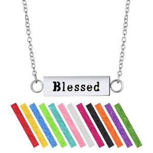 lot 7673 image: Wild Essentials Blessed Essential Oil Diffuser Bar Necklace Gift Set - Includes Aromatherapy Pendant, 24 Stainless Steel Chain, 12 Color Refill Pads - Retail $8