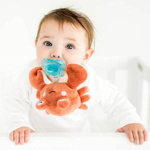 lot 7747 image: Queebi PaciBuddy Crab Pacifier Holder - Plush Toy with Detachable Pacifier & Universal Adapter, Gender Neutral Baby Gift for 0 Months - Infant Plush Baby Toy, Versatile Baby Essentials, Binky - Retail $17