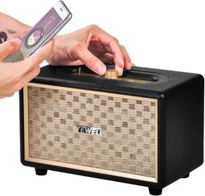 Tewell Home Speaker with Premium Audio | Rich Bass, Rotary Dial for Volume Control | Toggle Switch, Wireless Bluetooth & 3.5mm Aux Input for Turntable | Record Player, AC Powered (Upgraded Version)