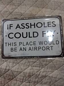 lot 169 image: Humorous Airport Sign - If Assholes Could Fly This Place Would Be An Airport
