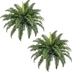 lot 3729 image: 35 Artificial Fern Bush Plants - 2 Boston Ferns, 39 Fronds