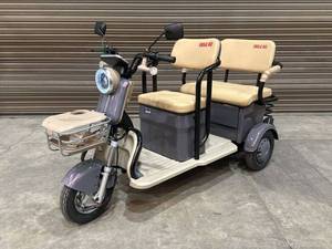 lot 40028 image: IRGC40 - Purple High-End Mini Golf Cart - Electric Tricycle Assembly Required