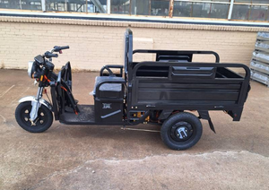 lot 46037 image: IRET13-BLACK ELECTRIC TRICYCLE (Black)