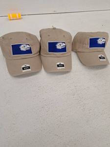 lot 10186 image: Mens Beige Baseball Caps