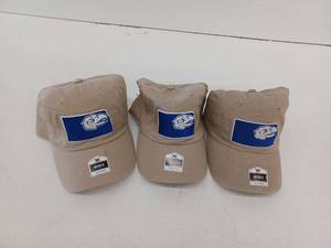 lot 11672 image: 3 Pack Mens Hats