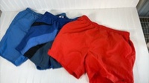 lot 309 image: Mens size large Swim Trunks - Speedo and Nautica