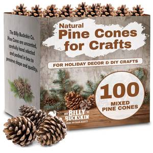 lot 43527 image: Mix Size Natural Pine Cones for Decorating - 50 Medium & 50 Small Pinecones for Crafts, Home Decor, Vase Fillers & Christmas Trees - Unscented Pinecone Decor for Home by Billy Buckskin - Retail $35