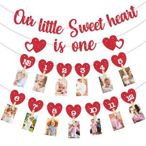 lot 58444 image: Valentines Day Heart 1st Birthday Photo Banner Love Heart Birthday Photo Banner for Newborn to 12 Months Milestone Photograph Bunting Garland for Xmas Holiday Baby Party Supplies - Retail $21