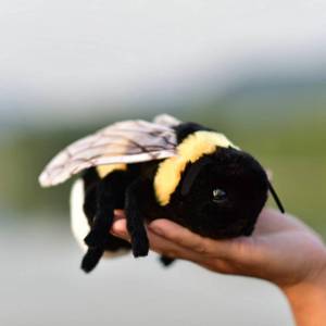 lot 58471 image: TAMMYFLYFLY Soft Insect Plush Toy, Stuffed Bee Animal Doll,Cute Honeybee Plush Doll,17cm (Bee) - Retail $10