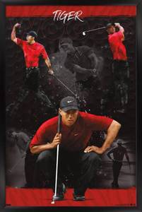 lot 33054 image: Trends International Tiger Woods - Sketch Wall Poster, 22.375 x 34, Black Framed Version