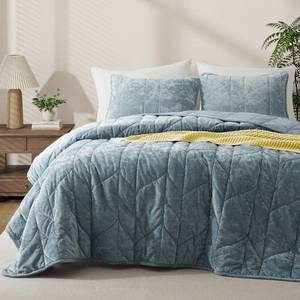 lot 20290 image: Oli Anderson Velvet Quilt Set Queen Size - Lightweight Bedspread Coverlet - Soft Velvet Comforter Set - Reversible Quilted Bedding Set for All Seasons - Ash Blue - 3 PCS (1 Quilt, 2 Pillow Shams) - Retail $73