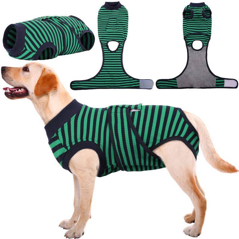 lot 16184 image: Recovery Suit for Dogs Cats After Surgery, Professional Pet Recovery Shirt Dog Abdominal Wounds Bandages, Substitute E-Collar & Cone, Prevent Licking Dog Onesies Pet Surgery Recovery Suit - Retail $34