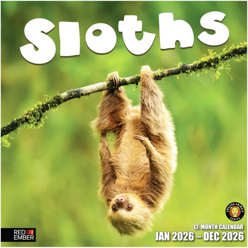 lot 16235 image: RED EMBER Sloths 2026 Wall Calendar 12 Month  12 x 24 Open  Thick & Sturdy Paper  Giftable  Animal Calendar 2026 - Retail $3