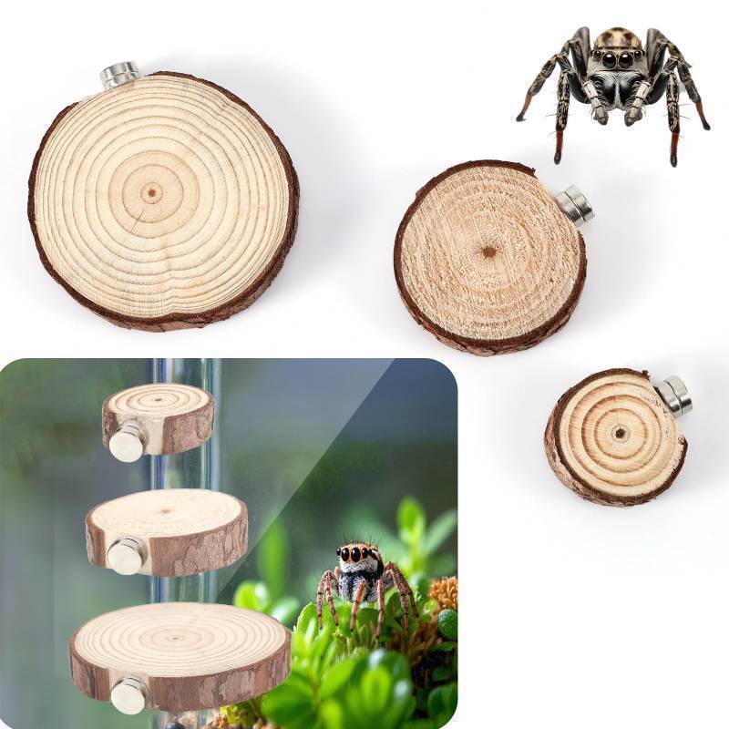 lot 44085 image: 3pcs Jumping Spider Enclosure Ledges, Magnetic Jumping Spider Enclosure Ledges Ladder Magnets Jumping Spider Habitat Pet Spider Enclosure Accessories - Retail $7