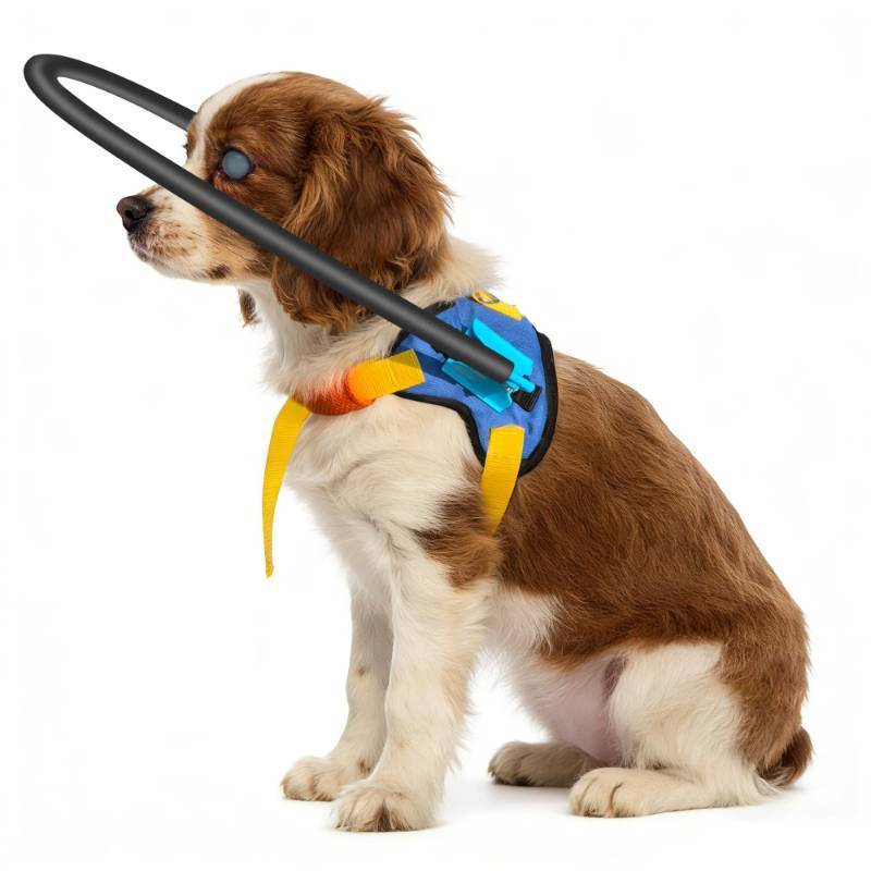 lot 36220 image: Blind Dog Harness with Halo, Adjustable Guide & Confidence Building Vest, Anti-Collision Safety Device,Protective Collar for Confidence and Safety (10-14In) - Retail $32