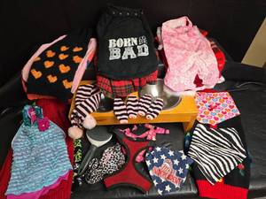 lot 813 image: Medium Size Mixed Dog Clothing and Accessories