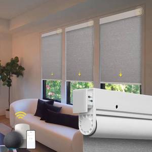 lot 3833 image: $101 Motorized Cordless Roller Shades with Remote (Grey, 46 x 72)
