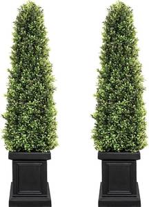 lot 3937 image: $109 3.5ft Boxwood Outdoor Topiary Set of 2 with Sturdy Pots (Square)