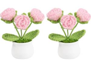 lot 1361 image: 2PCS Crochet Flowers Pink Roses Crochet Roses Mini Potted, Handmade Mini Flowers for Valentines Teacher Gifts Mini Desk Decor Car
