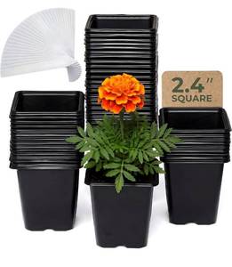 lot 1384 image: CARPATHEN 64Pack Square Nursery Pots - 2.4 Inch Plastic Seedling Pots with Drainage Holes - Reusable Seed Starter Pots for Plants, Succulent, Flowers, Vegetables - Plant Starter Pots and Sticker Label
