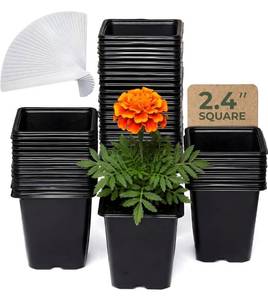 lot 1410 image: CARPATHEN 64Pack Square Nursery Pots - 2.4 Inch Plastic Seedling Pots with Drainage Holes - Reusable Seed Starter Pots for Plants, Succulent, Flowers, Vegetables - Plant Starter Pots and Sticker Label