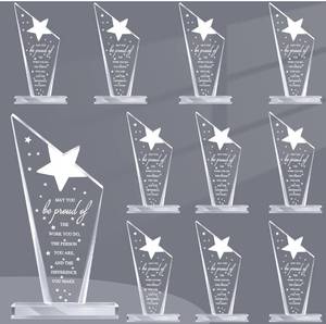 lot 1447 image: Bucherry 10 Pcs Employee Appreciation Awards for Coworker Acrylic Thank You Trophy May You Be Proud of The Work You Do Sign Prizes Retirement Goodbye Farewell Gift for Women Men(Stylish)
