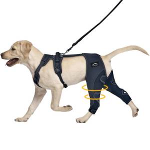 lot 1518 image: Dog Leg Brace, Support for Pets with ACL Injuries, Keeps Knee Joints Warm and Stable, Adjustable Dogs Rear Leg Wrap Harness Personalized Set for Leg Wound Care and Lick Prevention XL