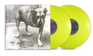 Alice In Chains - Alice In Chains 30th Anniversary Colored Vinyl LP