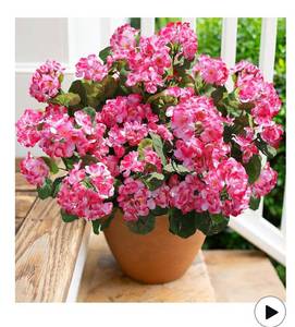 lot 9620 image: Artificial Geranium Fake Flowers for Outdoors Decoration, 6 Bundles