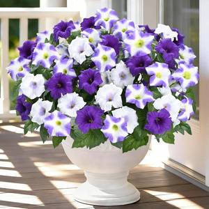 lot 9759 image: MARTINE MALL Artificial Flowers for Outdoors, 4 Bundles Realistic Fake Outdoor Flowers, UV Resistant Silk Petunia Flower for Outside Look Real Faux Flower Plants for Outdoor Porch Decor, Purple White
