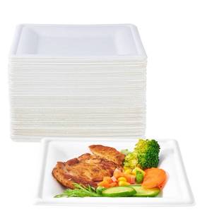 lot 9766 image: ECOLipak 150 Piecs Compostable Square Plates, 6 inch Eco-friendly Heavy Duty Biodegradable Sugarcane Disposable Paper Plates for Party Dinner Birthday