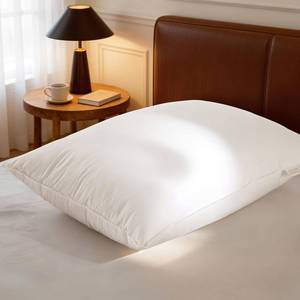 lot 9925 image: Luxury Canadian White Goose Down Pillow Queen Size- 900 Fill Power, 600 Thread Count Cotton Shell, Soft Down Pillows for Sleeping, Hotel Collection Pillow for Neck Pain Relief (1 Pack, 20x30)