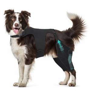 lot 9928 image: Marnonsis Dog Knee Braces for Back Leg, Adjustable Leg Brace with 2 Stabilizers, Hip Support to Reduces Pain, Ligament Injuries, ACL CCL & Luxating Patella for Small Medium Large Dogs, 2XL