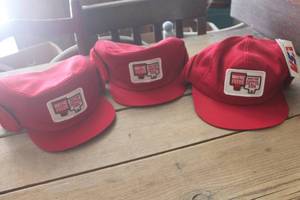 lot 4363 image: Vtg. Wayne Feeds Winter Hats