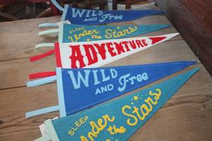 lot 4440 image: NWTS  Wall Pennants