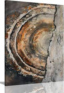 lot 251502 image: IBHJSART Framed Tree Ring Canvas Wall Art Vintage Colorful Wood Stump Painting Prints Modern Minimalist Pictures Neutral Nature Rustic Farmhouse Decor Living Room Bedroom Bathroom Office